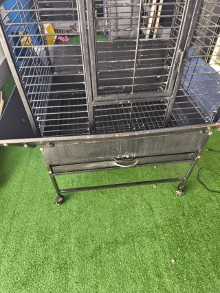 Jaula grande para loro