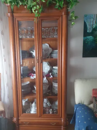 Vitrina de roble y cristal