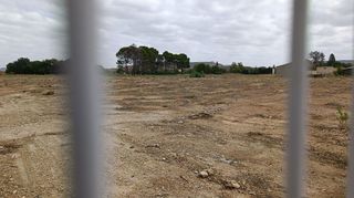Terreno en alquiler en Torres de la Alameda