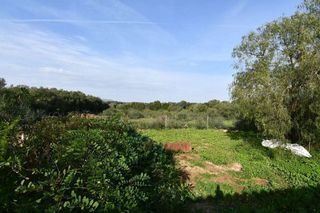 Casa rural en venta en Manacor Centro en Manacor