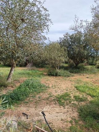 Casa rural en venta en Manacor Centro en Manacor