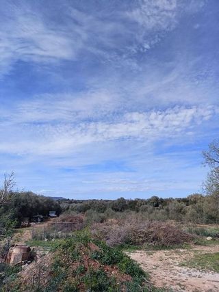 Casa rural en venta en Manacor Centro en Manacor