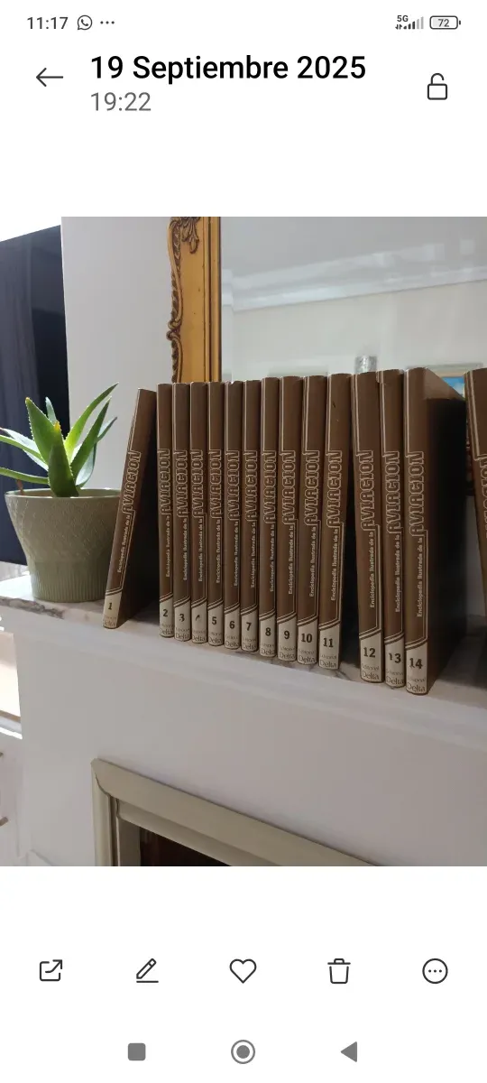 Enciclopedia ilustrada de la aviación Nueva