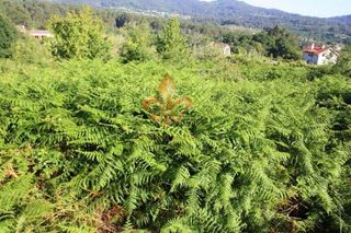 Solar en venta en Gondomar