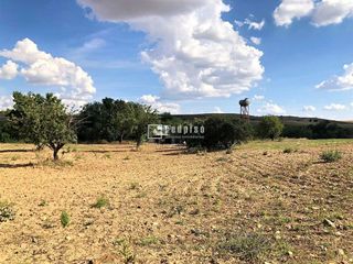 Terreno en venta en Cobeña