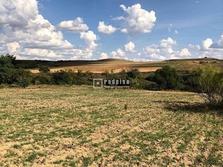 Terreno en venta en Cobeña