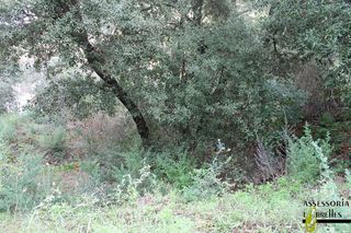 Solar en venta en Torrelles de Llobregat