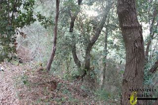 Solar en venta en Torrelles de Llobregat