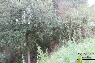 Solar en venta en Torrelles de Llobregat