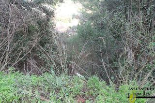 Solar en venta en Torrelles de Llobregat