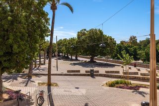 Piso en alquiler en La Seu - Cort - Monti-sión en Palma de Mallorca
