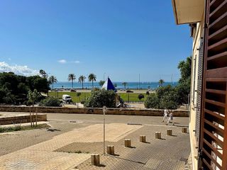 Piso en alquiler en La Seu - Cort - Monti-sión en Palma de Mallorca