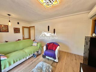 Piso en alquiler en Gorronal-P29 en Collado Villalba