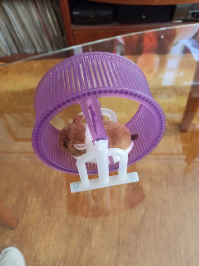Rueda para hámster (juego) Wheel runner.