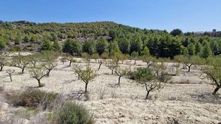 Terreno en venta en Benissa