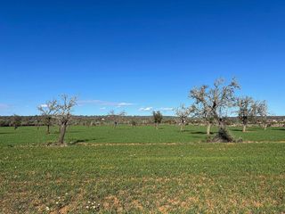 Terreno en venta en Campos