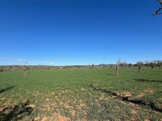 Terreno en venta en Campos