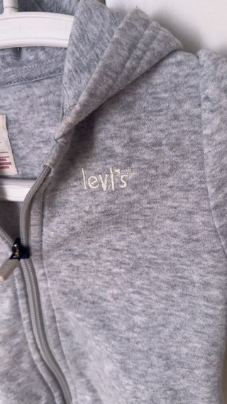 Sudadera Levi's gris con capucha