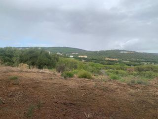 Solar en venta en Sotogrande Alto en San Roque