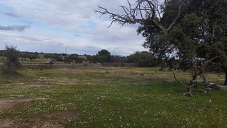 Terreno en venta en Sur en Mérida