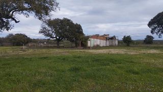 Terreno en venta en Sur en Mérida