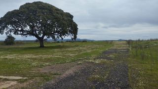 Terreno en venta en Sur en Mérida