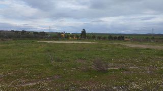 Terreno en venta en Sur en Mérida