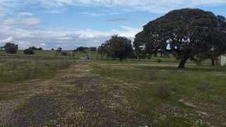 Terreno en venta en Sur en Mérida