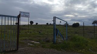 Terreno en venta en Sur en Mérida