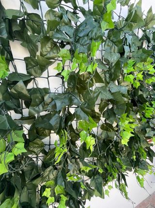 Seto artificial exterior