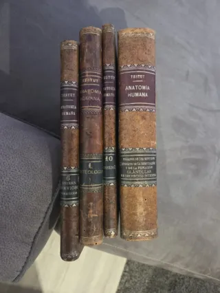 Testut Anatomia Umana Libri Antichi