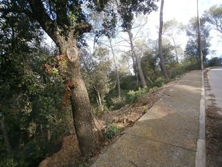 Terreno en venta en Torrelles de Llobregat