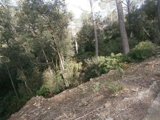 Terreno en venta en Torrelles de Llobregat