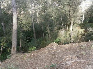 Terreno en venta en Torrelles de Llobregat