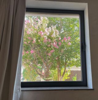 Estudio en alquiler en Crta. De la Sierra en Granada