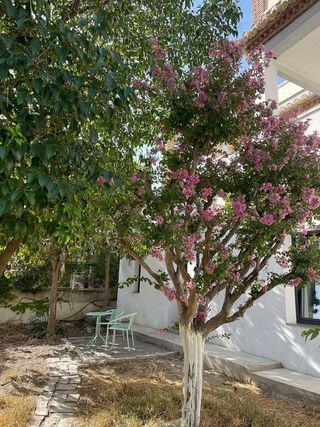 Estudio en alquiler en Crta. De la Sierra en Granada