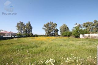 Terreno en venta en Carmona