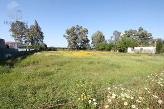 Terreno en venta en Carmona