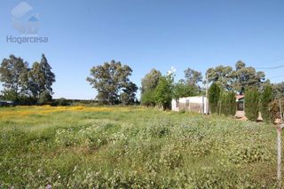 Terreno en venta en Carmona
