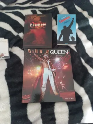 Lote Vinilos Queen