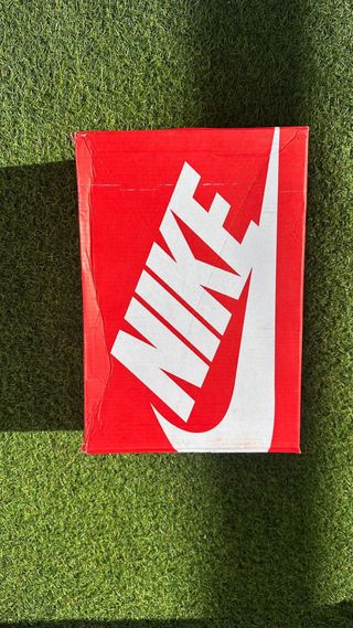 Nike P-6000 Plata y Blanco