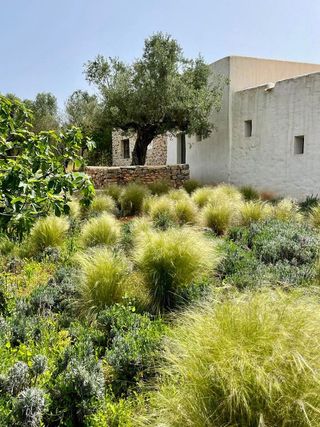Casa rural en alquiler en Santa Eulalia del Río en Santa Eulalia del Río