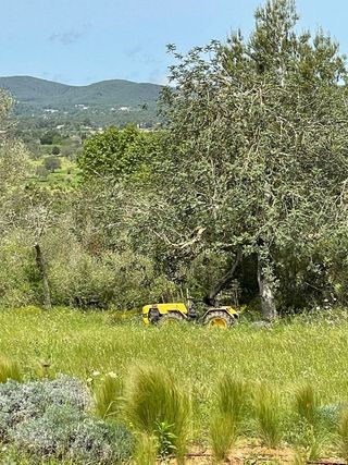 Casa rural en alquiler en Santa Eulalia del Río en Santa Eulalia del Río