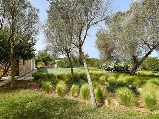 Casa rural en alquiler en Santa Eulalia del Río en Santa Eulalia del Río