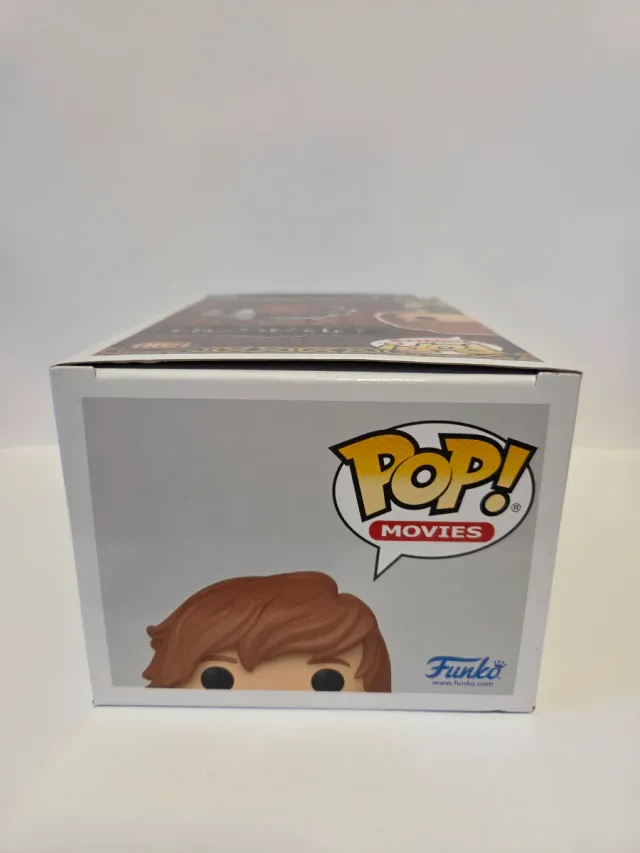 Funko Pop! Movies - Hiccup #1790 Dragon Trainer