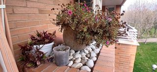 Piso en venta en San Adrián - La Cava en Logroño