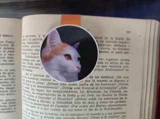 Marcapáginas magnético personalizado