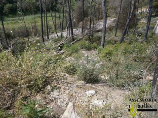 Terreno en venta en Torrelles de Llobregat