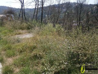 Terreno en venta en Torrelles de Llobregat