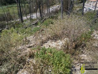 Terreno en venta en Torrelles de Llobregat
